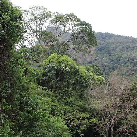 Mamallena Eco Lodge La Laguna de San Carlos Eksteriør bilde