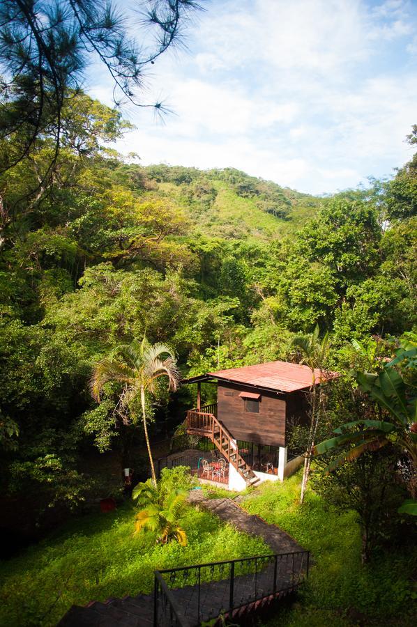 Mamallena Eco Lodge La Laguna de San Carlos Rom bilde