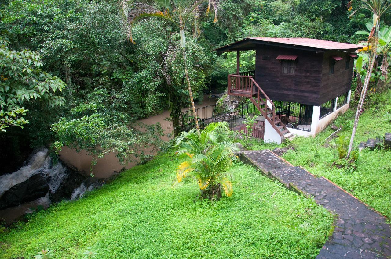 Mamallena Eco Lodge La Laguna de San Carlos Rom bilde