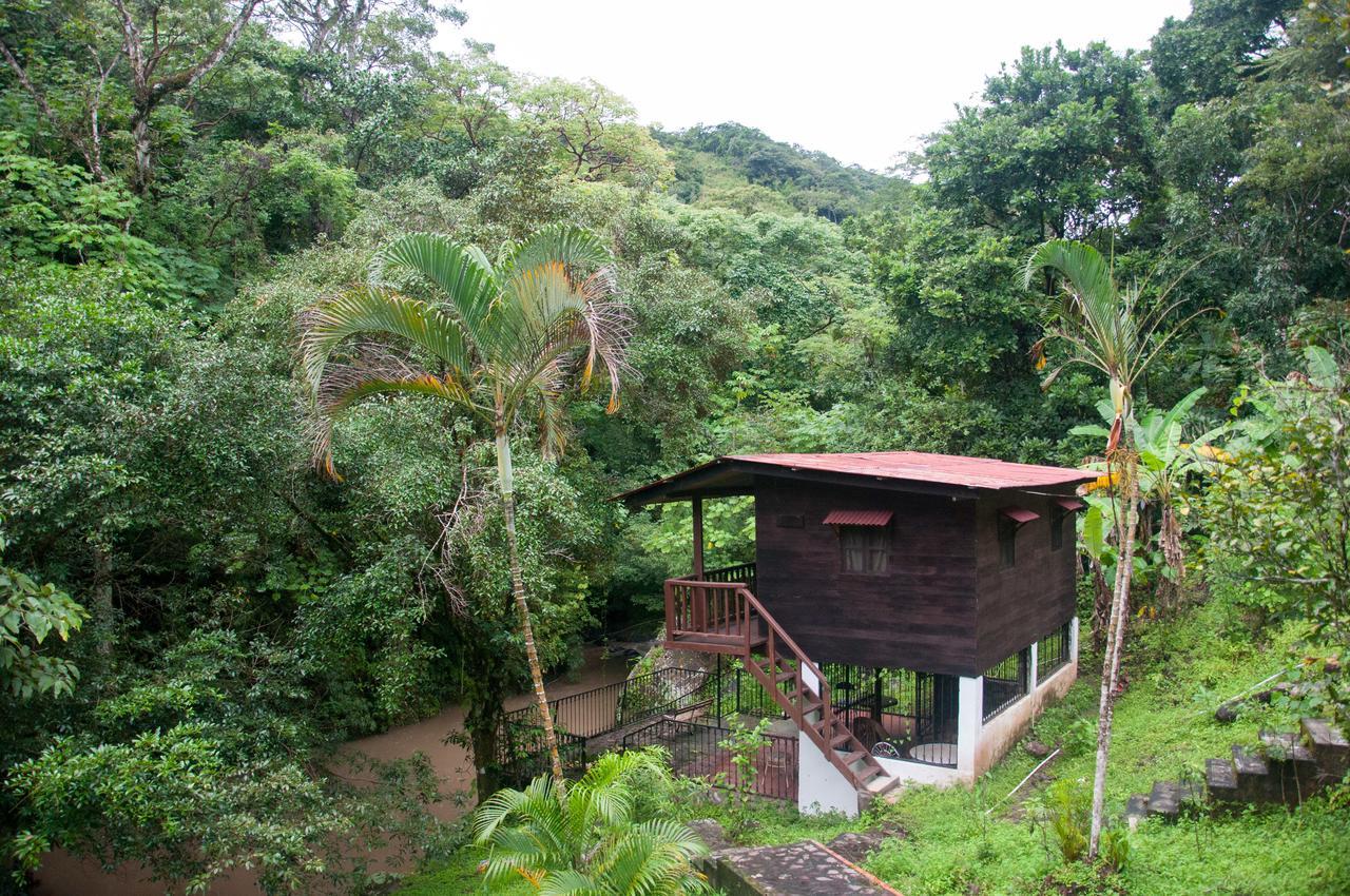 Mamallena Eco Lodge La Laguna de San Carlos Eksteriør bilde