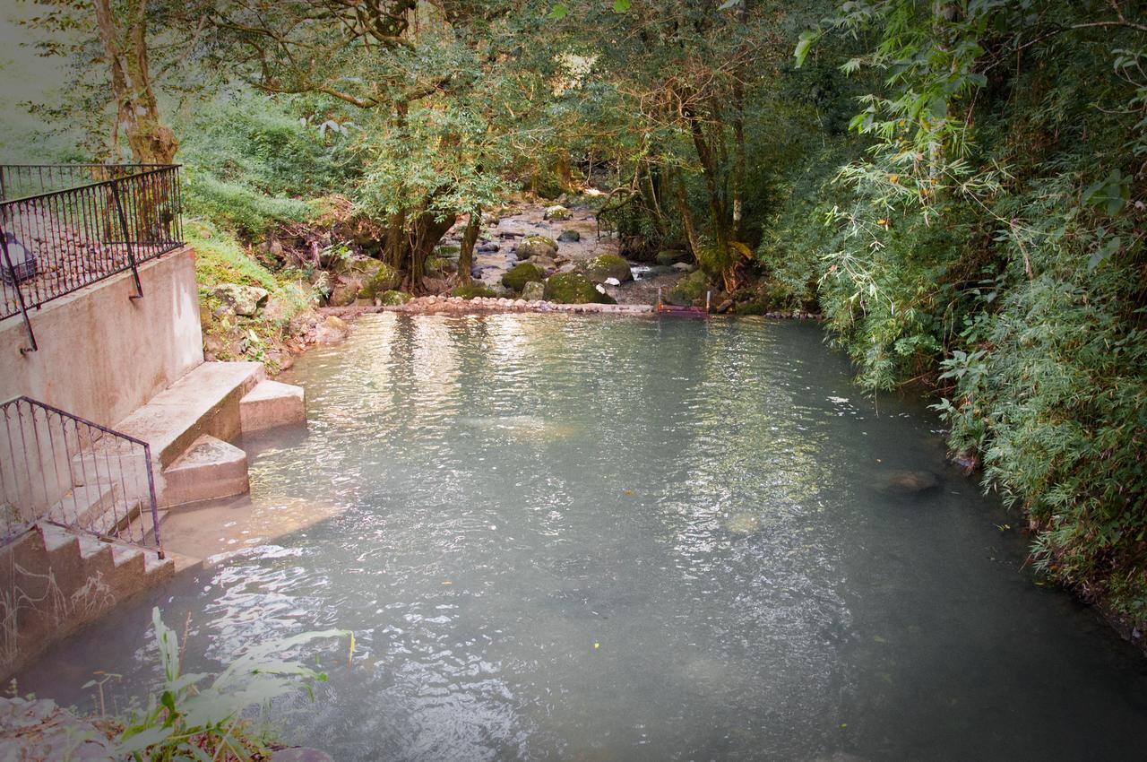 Mamallena Eco Lodge La Laguna de San Carlos Rom bilde