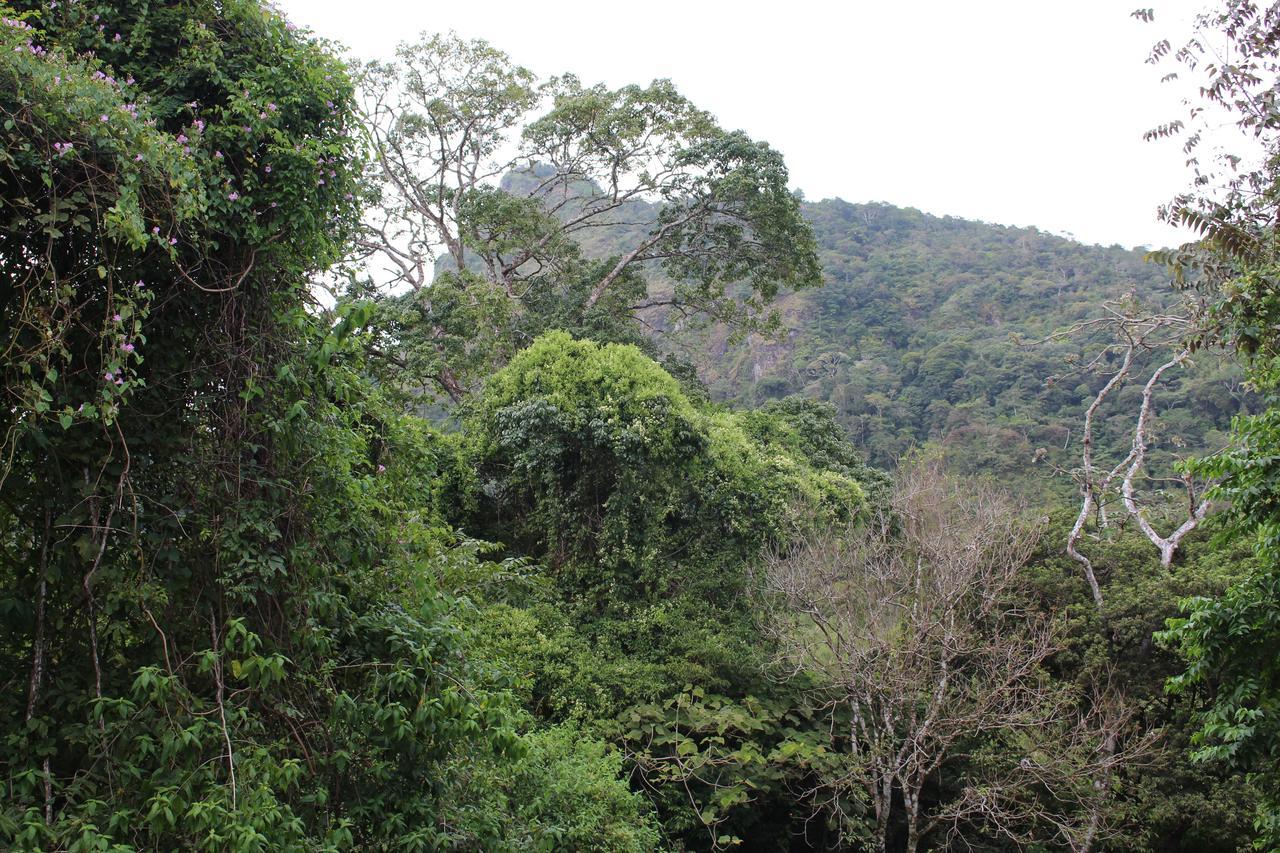 Mamallena Eco Lodge La Laguna de San Carlos Eksteriør bilde