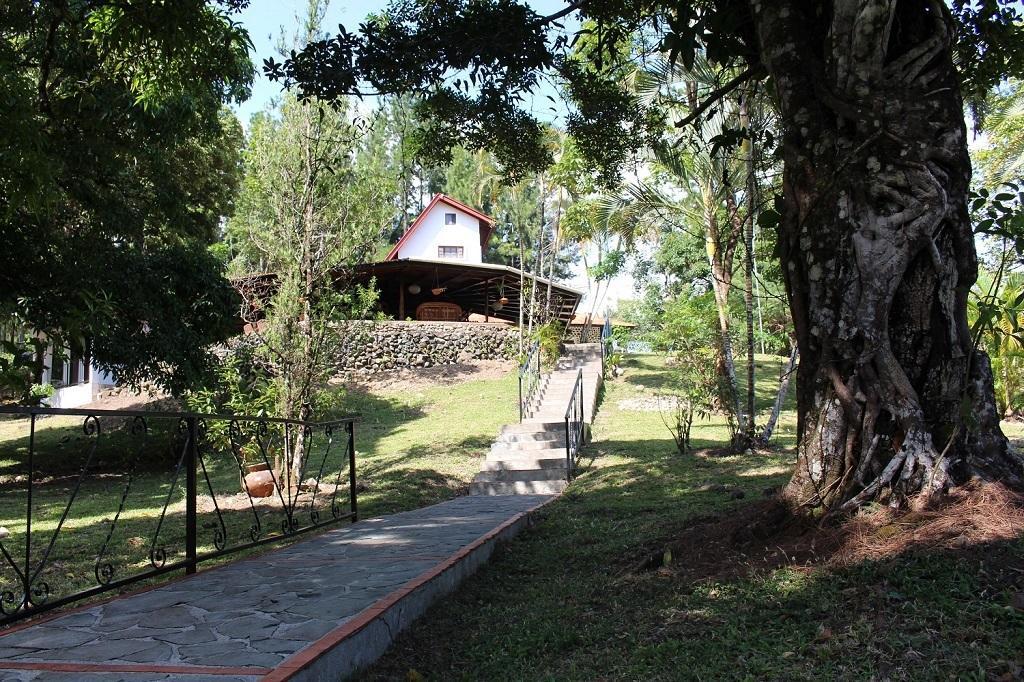 Mamallena Eco Lodge La Laguna de San Carlos Eksteriør bilde