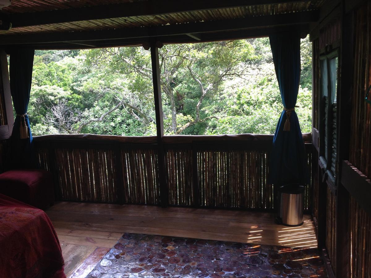 Mamallena Eco Lodge La Laguna de San Carlos Eksteriør bilde
