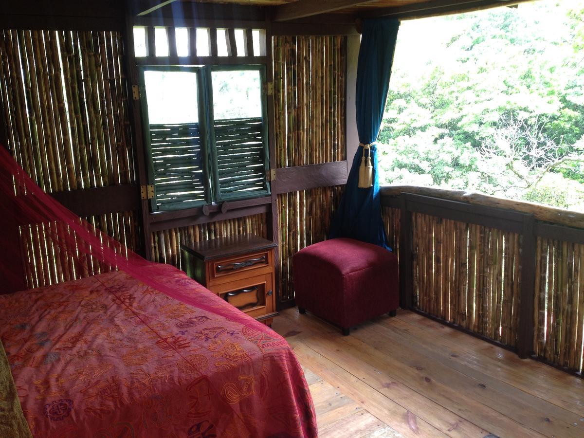 Mamallena Eco Lodge La Laguna de San Carlos Eksteriør bilde