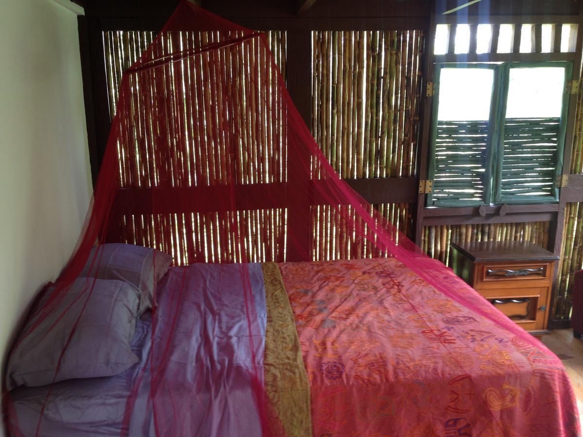 Mamallena Eco Lodge La Laguna de San Carlos Eksteriør bilde