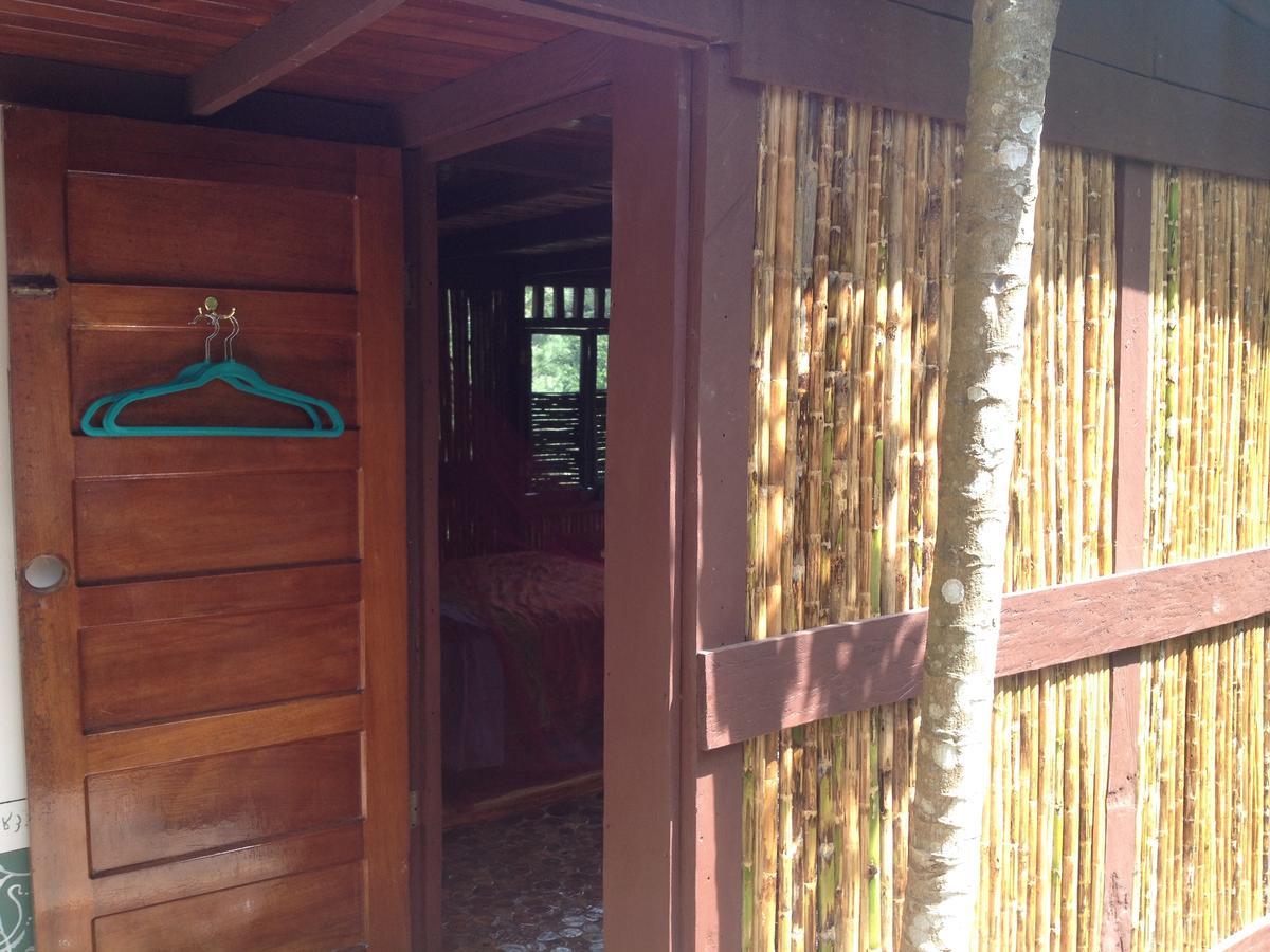 Mamallena Eco Lodge La Laguna de San Carlos Eksteriør bilde