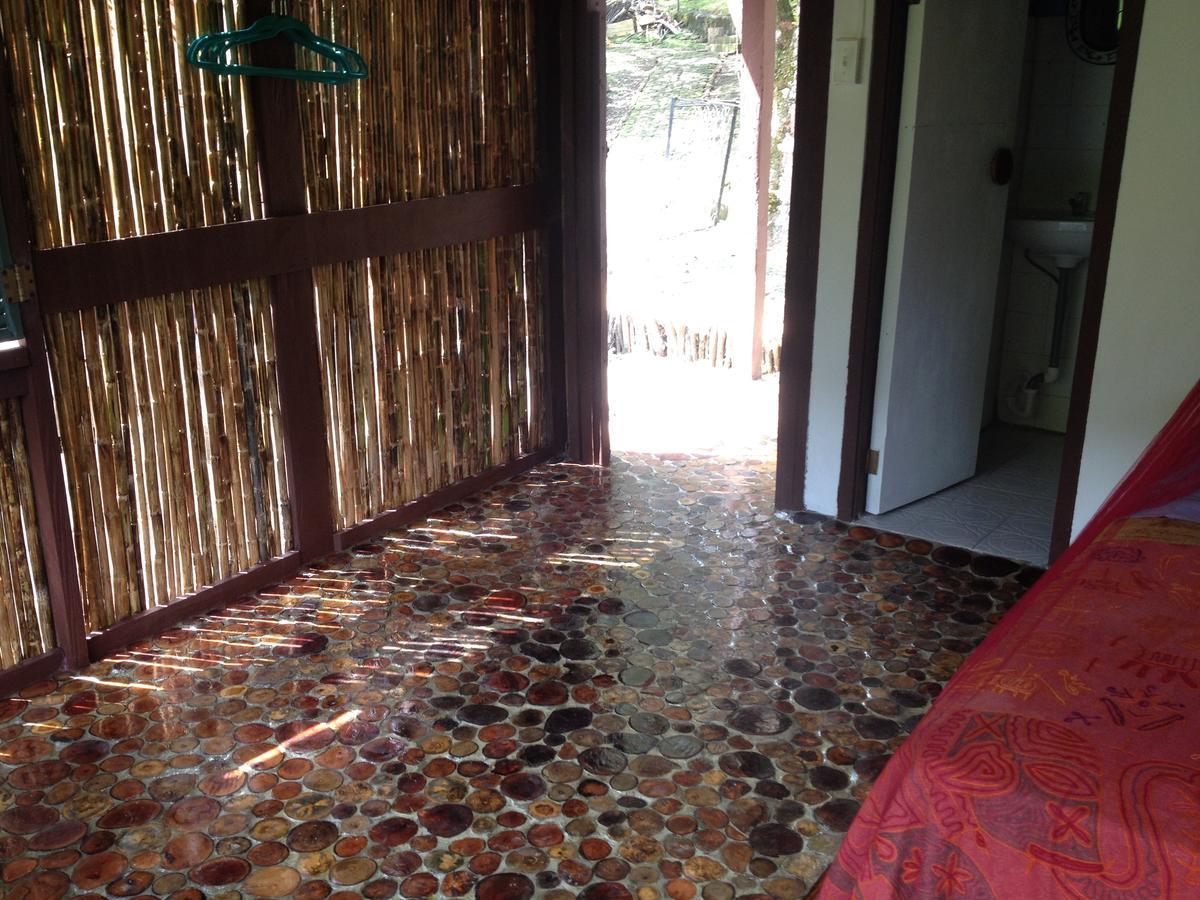 Mamallena Eco Lodge La Laguna de San Carlos Eksteriør bilde