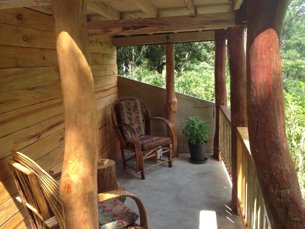 Mamallena Eco Lodge La Laguna de San Carlos Eksteriør bilde